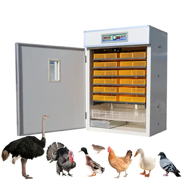 350 eggs AC/DC Poultry Incubator