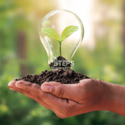 Environmental