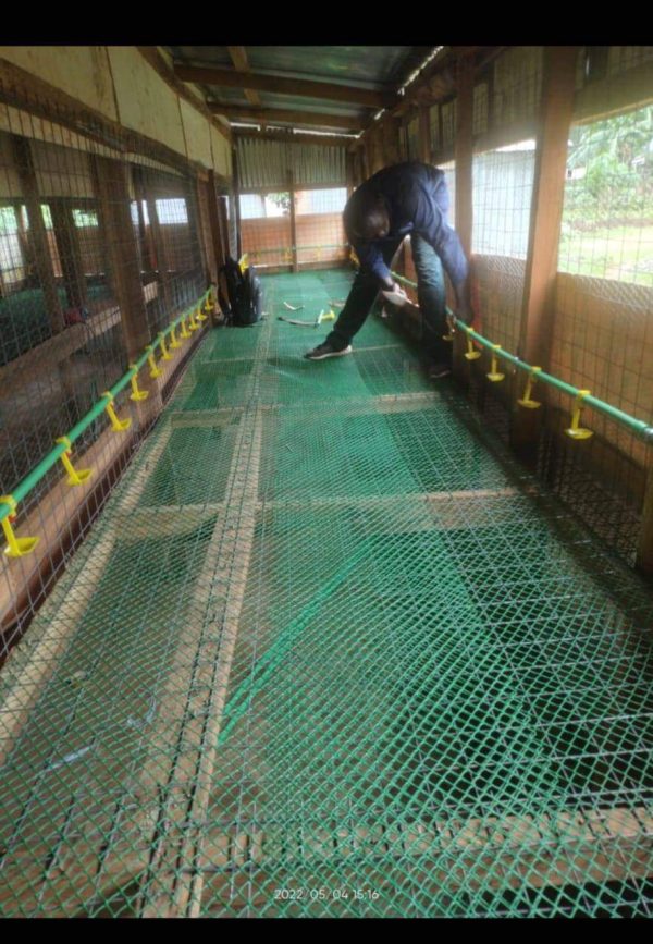 Plastic Poultry Mesh 1m*1m - Image 2