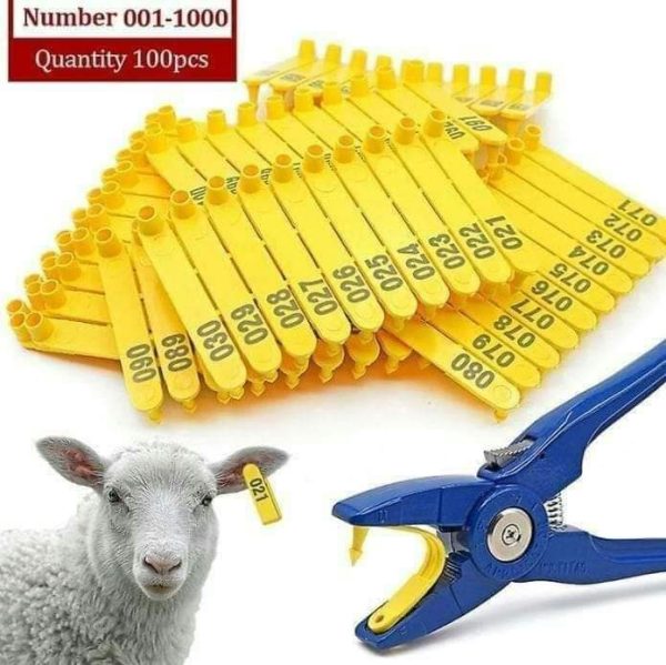 Self-Applicable Folding Ear Tags
  for Livestock (Pack of 100)