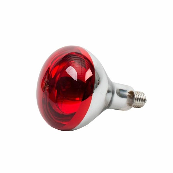 250 Watts Infrared Brooding
  Bulbs with Holder