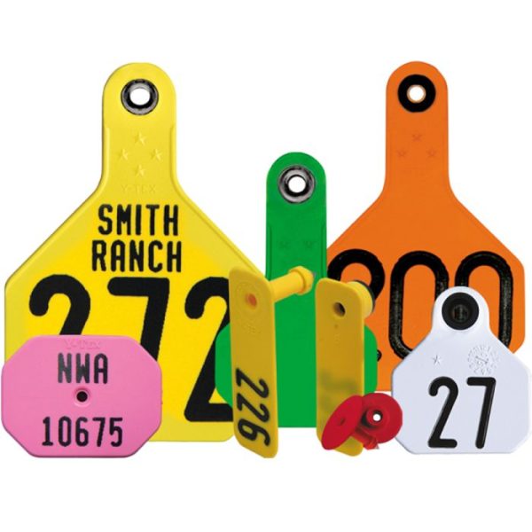 Cows Customized Ear Tags
