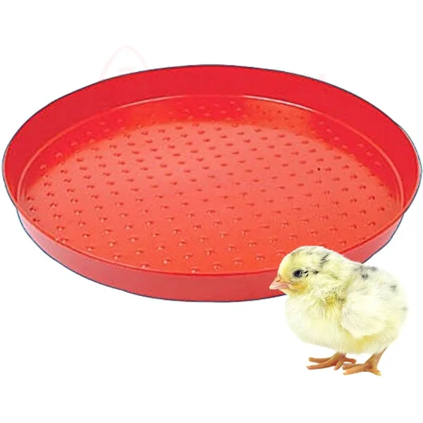 40cm-diameter day-old round
  feeder trays
