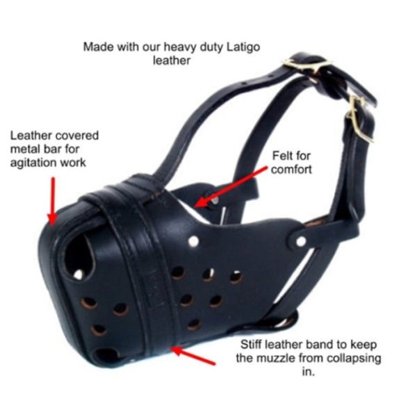 Dog Muzzle Large - Image 2