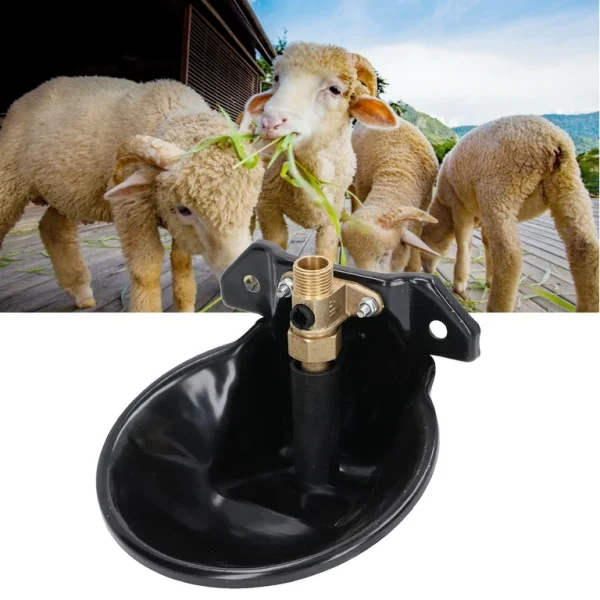 Cast Iron Goat Drinkers