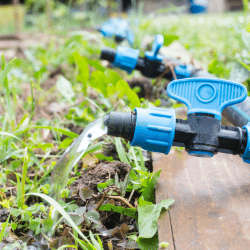 Irrigation