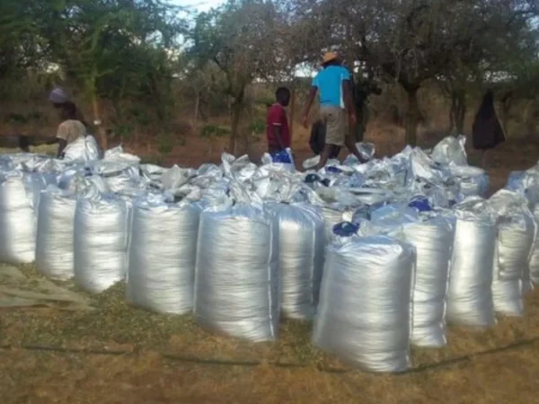 250Kgs (Triple-layered with
  aluminum foil) Aseptic Silage Bags Wholesale - Image 2