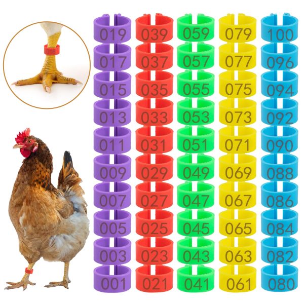 100-Pack Numbered Chicken Leg
  Bands