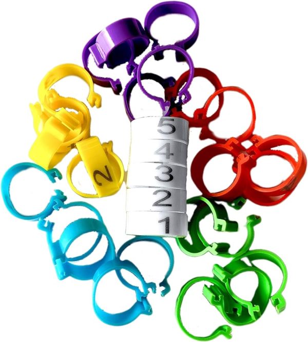 100-Pack Numbered Chicken Leg
  Bands - Image 2
