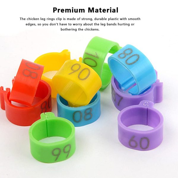 Colourful Plain Chicks Leg Tags - Image 2